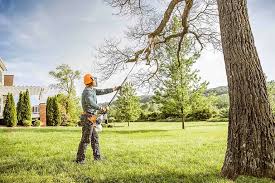 Best Tree Removal  in West Peoria, IL